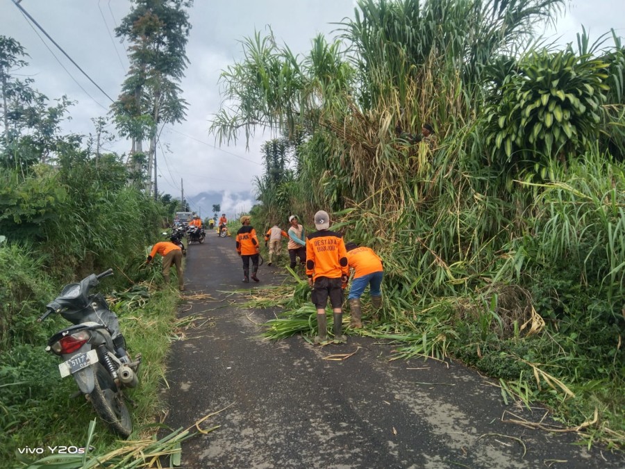 gambar-3